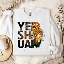 Cargar imagen en el visor de la galería, Yeshua
